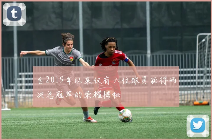 自2019年以来仅有六位球员获得两次总冠军的荣耀揭秘