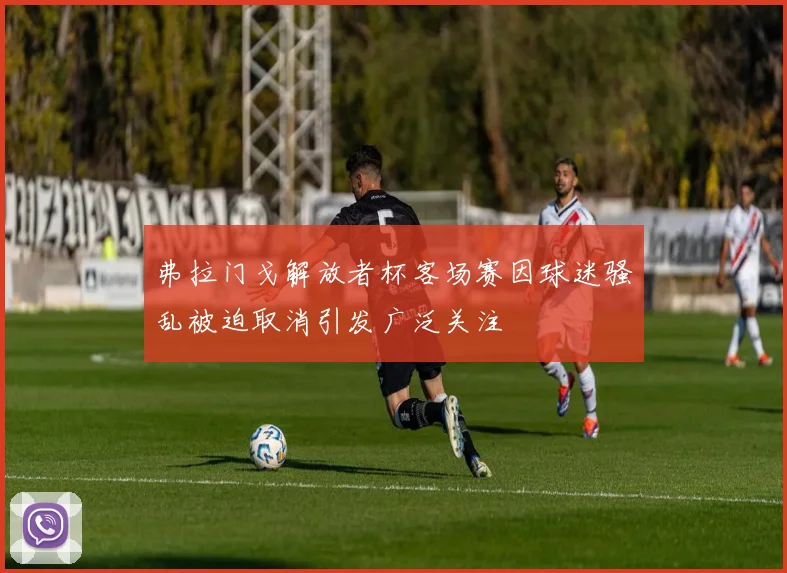 弗拉门戈解放者杯客场赛因球迷骚乱被迫取消引发广泛关注